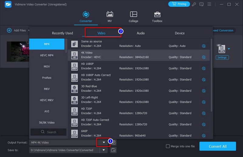 Vidmore Video Converter Output indstilling