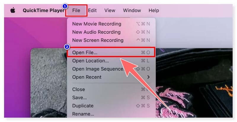 Quicktime GIF til MOV Converter