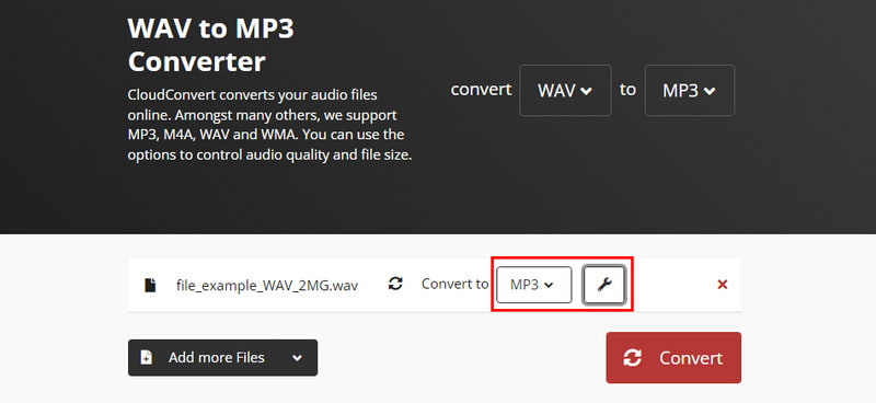 Select Output Format and Adjust Parameters