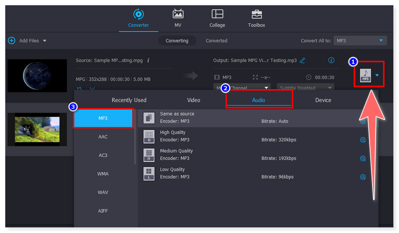 Vidmore Seleziona il formato MP3