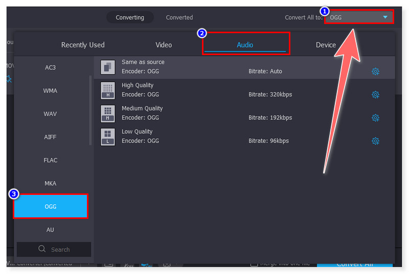 Vidmore Pilih Format Output OGG