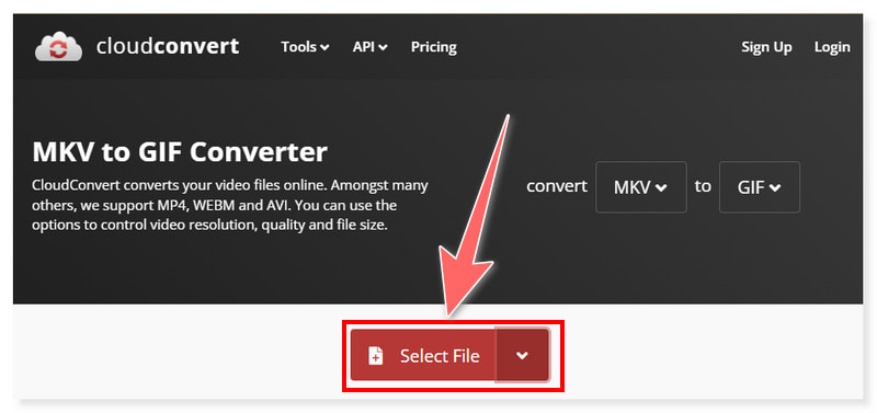 Konwerter online CloudConvert MKV