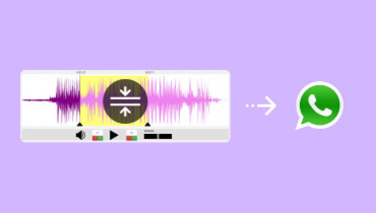 2 проверенных способа сжатия аудио для WhatsApp [с пошаговыми инструкциями]