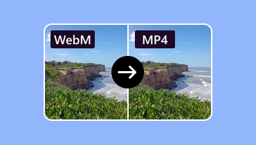 Konvertera WebM MP4