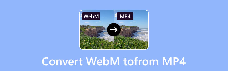 Converter WebM MP4