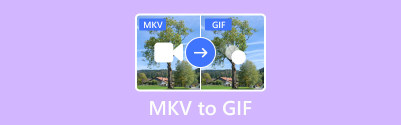 MKV เป็น GIF