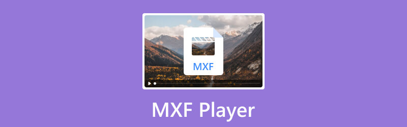 MXF 玩家 