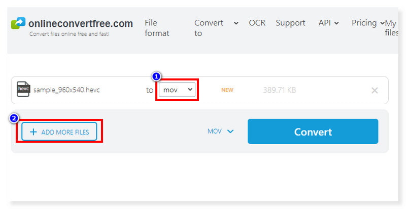 Online Convert Free Set MOV Output Format