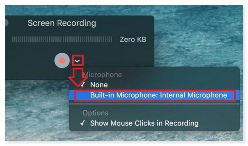 Quicktime avvia la registrazione dell'audio