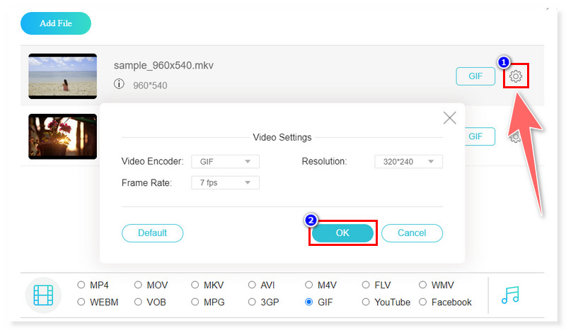 Vidmore Online Output Format