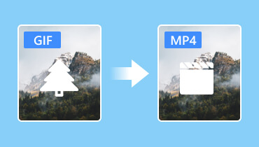 Gif to Mp4 Converters-s