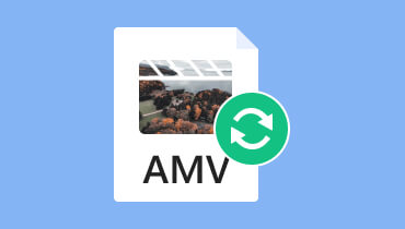 Reseñas del convertidor Amv