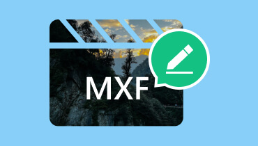 Paras MXF-editori