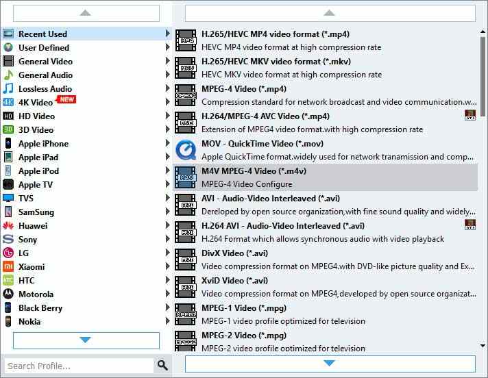 Output Format