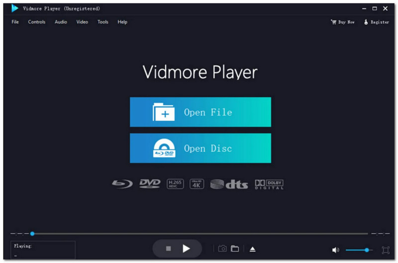 Vidmore Multi Disc Player