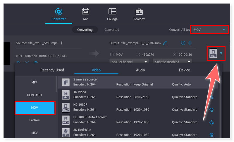 Vidmore Çıktı Formatını Seç