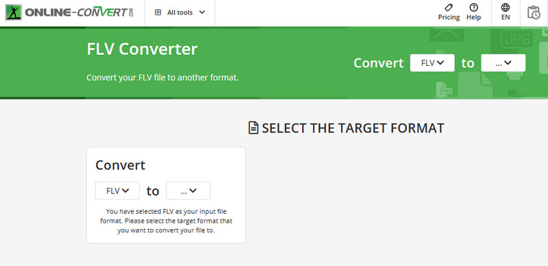 Conversor FLV Online Converter