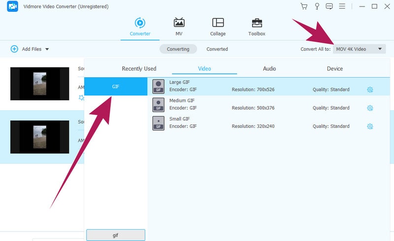 Vidmore Convert AMV Choose GIF