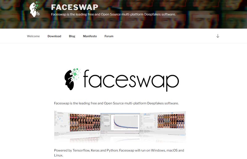 Faceswap Interface