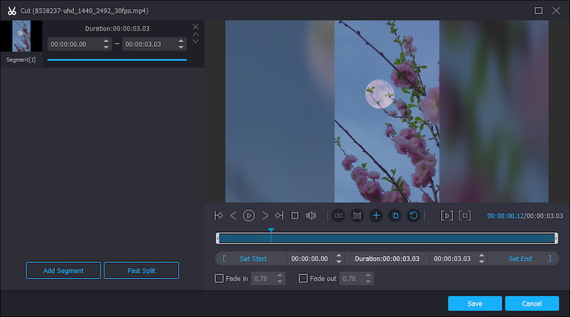 Recortar vídeo Vidmore Video Converter