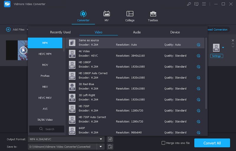 Vidmore Video Converter Output Formats