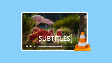 Subtítulos del reproductor multimedia VLC