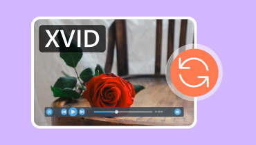 Chuyển đổi Xvid