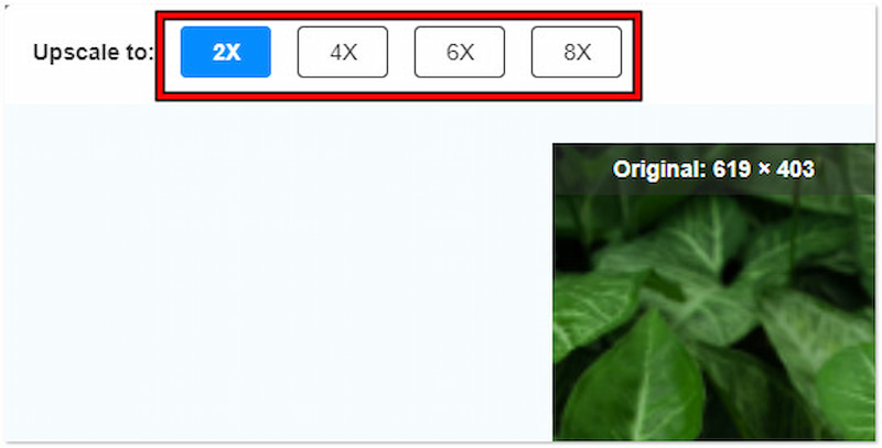 Select Scale Level