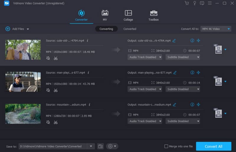 Vidmore Converter Interface