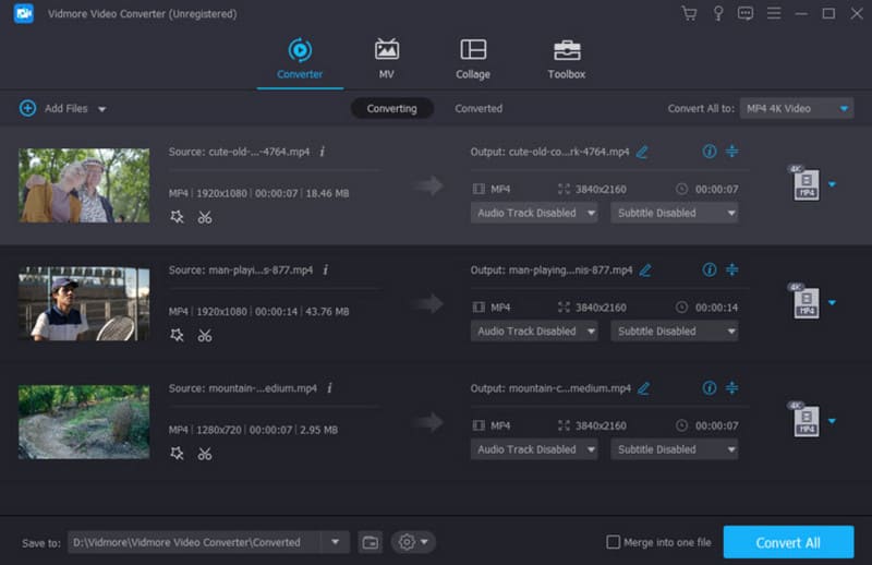 Vidmore Converter-sida