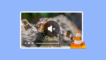 Suara Pemutar Media VLC Tidak Berfungsi