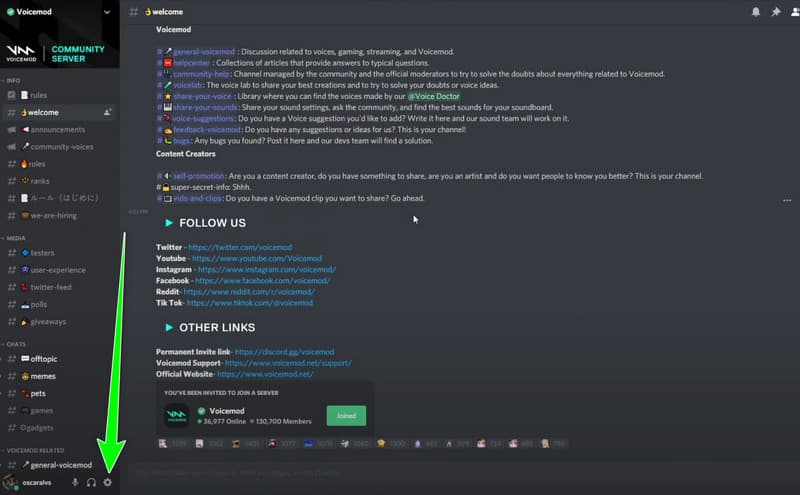 Setarea utilizatorului Discord