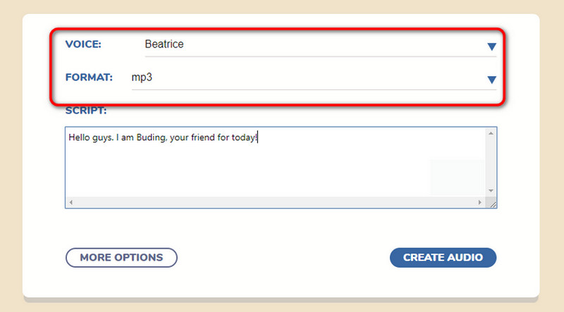 Voice Format Section