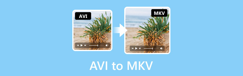 AVI naar MKV