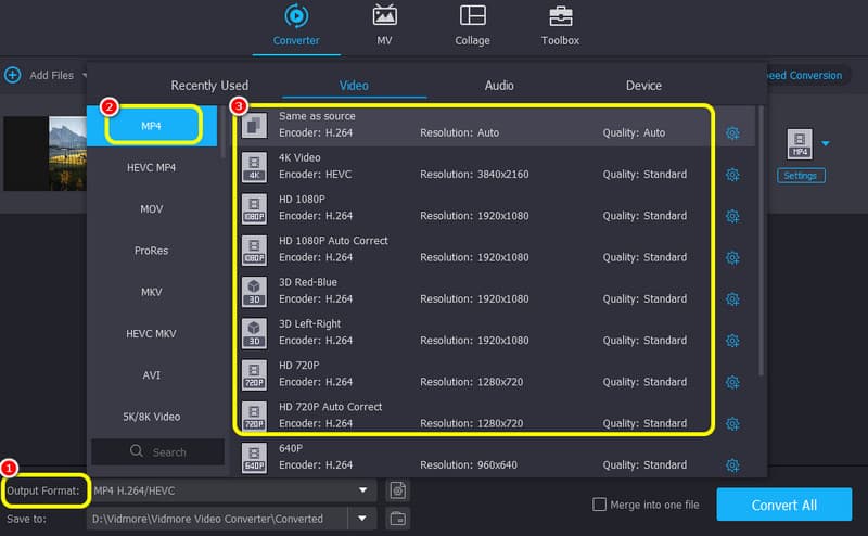 Choose Mp4 Output Format Vidmore