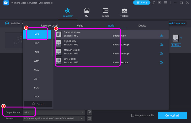 Formati di output Clicca Mp3 Vidmore