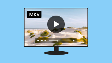 MOV afspelen op Windows