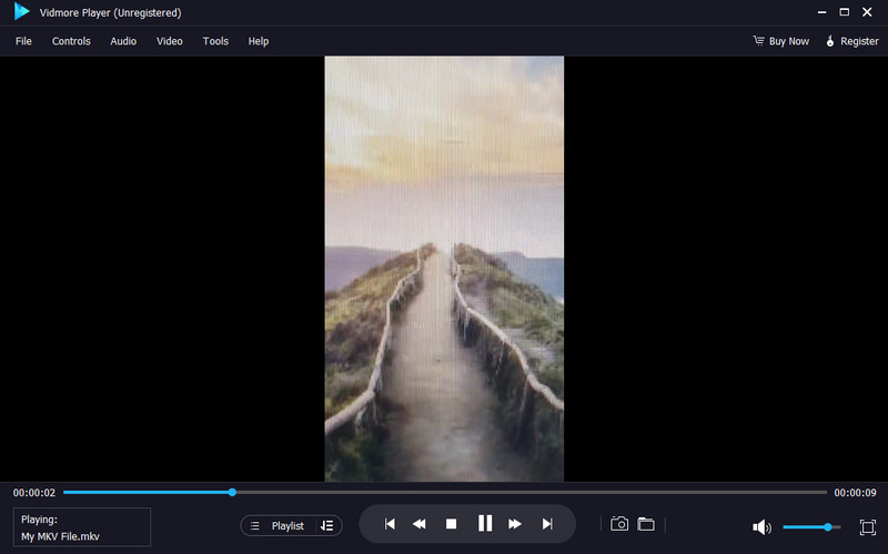 Vidmore Player MKV Player для Windows