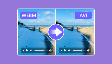 Webm đến Avi