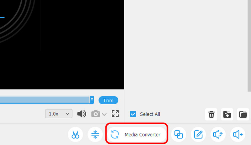 Secțiunea Media Converter Vidmore