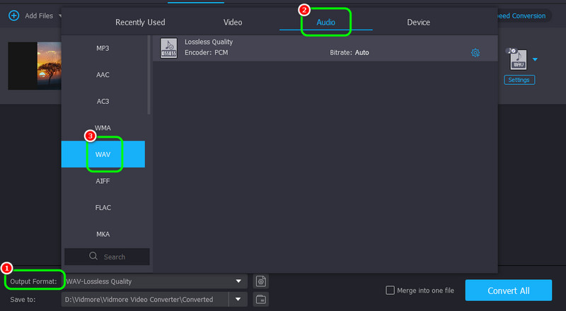 Output Format Choose Wav Vidmore