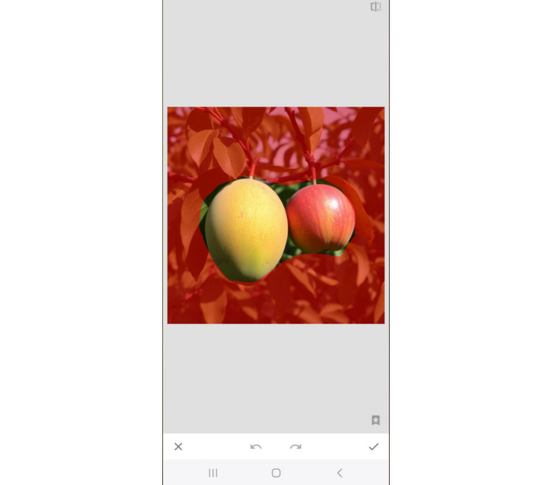 Snapseed Background Remover App