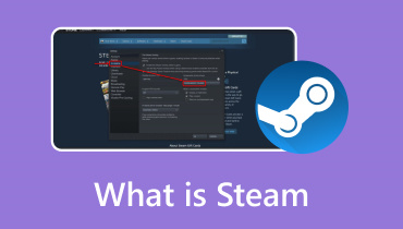 Steam Nedir?