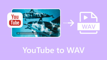 Youtube naar Wav