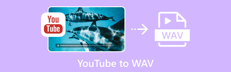 Youtube naar Wav