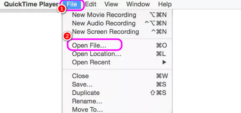 File Section Open File Quicktime