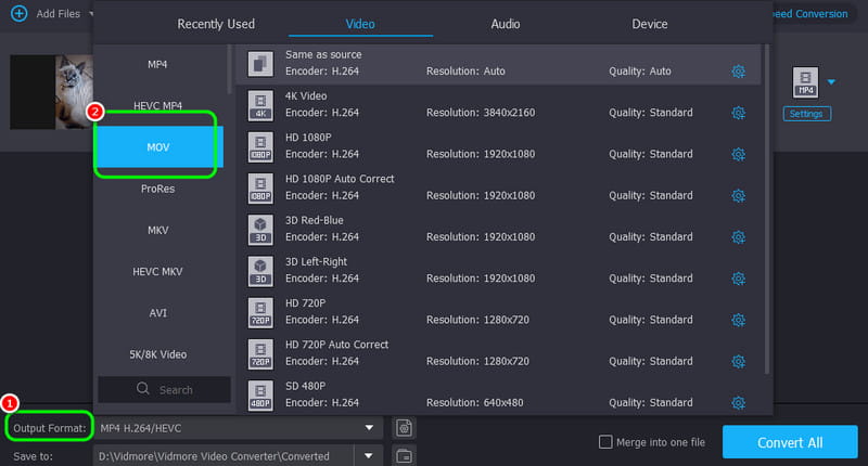 Mulighed for outputformat Vidmore