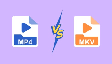 Mp4 Vs Mkv-s