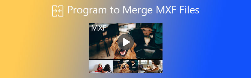 mxf video file