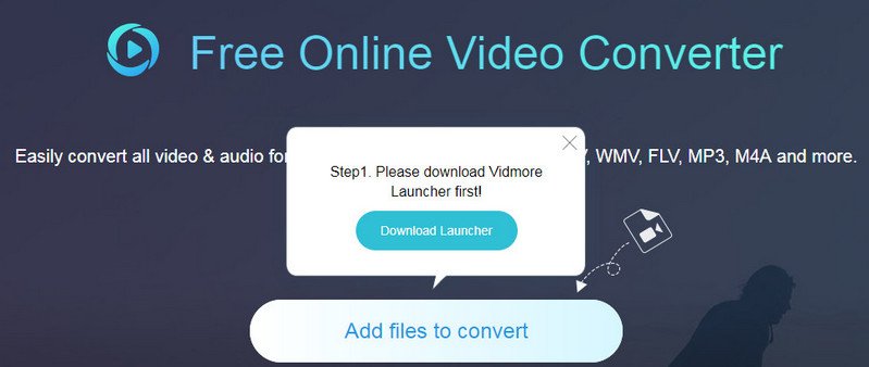 free flv to mp4 converter large